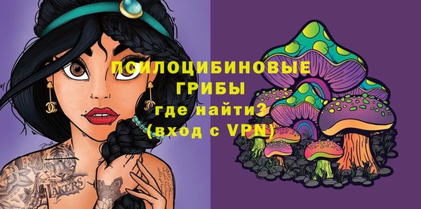 сатива Алексеевка