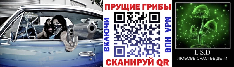 Псилоцибиновые грибы мухоморы  Волгодонск 